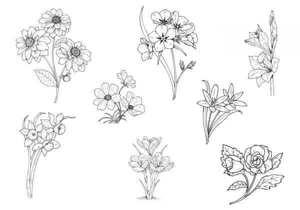 Product Packaging Design - Image 2