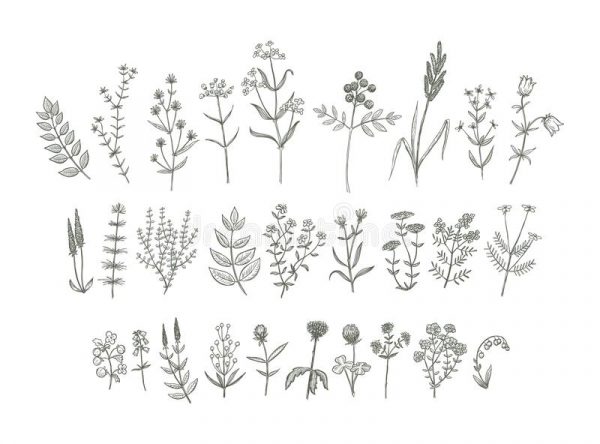 Product Packaging Design - Image 3