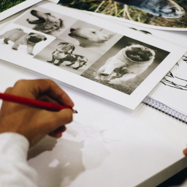Creative Photography for Startups